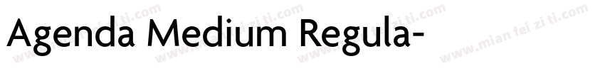 Agenda Medium Regula字体转换